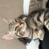 Labubu kalıcı yuvasını arıyor fotoğraf