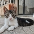Bursada 6 tatlış kardeş fotoğraf