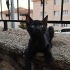 Bursada 6 tatlış kardeş fotoğraf