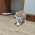 1 aylık bebek için ACİL Yuva fotoğraf