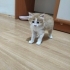 1 aylık bebek için ACİL Yuva fotoğraf
