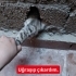 Duvara sıkışmış olarak ağlarken buldum fotoğraf
