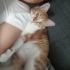 ÖZEL KLİNİK BAKIMLI AŞILI VE KISIRLAR..!! fotoğraf