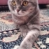 Sevgi dolu yavrumuza yuva arıyoruz fotoğraf