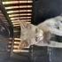 Sokağa terk edildi acil yuva fotoğraf