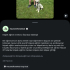 Beyaz Golden Retriever fotoğraf