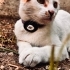 Lina Yuva arıyor fotoğraf