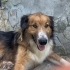 BARINAKTAN KURTARILAN PRENS fotoğraf