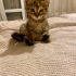 MİNNOŞ KIZA YUVA fotoğraf