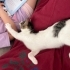 İnsan aşığı,sosyal ve oyuncu kızımız Latte fotoğraf