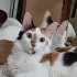 TAMAMEN ÜCRETSİZ TÜM EŞYALARIYLA fotoğraf