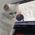 Yumak'a yeni yuva arıyoruz! fotoğraf