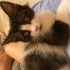 Gezmeyi seven kör bebe <3 fotoğraf
