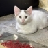 HİKAYESİNİ GÖRÜN fotoğraf