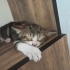 HİKAYESİNİ GÖRÜN fotoğraf