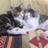 HİKAYESİNİ GÖRÜN fotoğraf