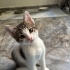 HİKAYESİNİ GÖRÜN fotoğraf