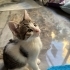 HİKAYESİNİ GÖRÜN fotoğraf