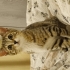 Acil Yuva Lütfen fotoğraf