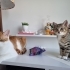 Acil Yuva Lütfen fotoğraf