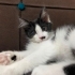 çok hareketli sevimli bir bebek fotoğraf