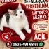 YENİDEN TERKEDİLDİM ÖMÜRLÜK YUVAM OLUR MUSUN? fotoğraf