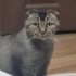 Uyumlu sessiz sakin fotoğraf