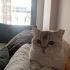 Uslu ve uykucu kızımıza yuva arıyoruz. fotoğraf