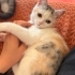 Küçük kızıma ömürlük yuva arıyoruz fotoğraf