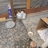 Yardım bekleyen minik yavru kedi fotoğraf