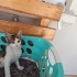 Minik kız yuvasını arıyor fotoğraf