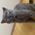 BULUTA KALICI YUVA ARIYORUZ fotoğraf