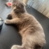 ÖMÜRLÜK YUVA ARIYORUZ fotoğraf