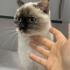 Bebişe acil yuva fotoğraf