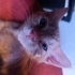 Oyuncu Bebişimize Yuva Arıyoruz fotoğraf