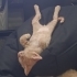 Oyuncu Bebişimize Yuva Arıyoruz fotoğraf