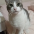SEVGİ İLGİ BAGİMLİSİ OYUNCU fotoğraf