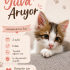 Ares’e Ömürlük Yuva Arıyoruz fotoğraf
