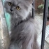 Güzellik yuva arıyor fotoğraf