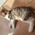 Çok sevecen çocuk fotoğraf
