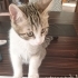Çok sevecen çocuk fotoğraf
