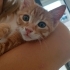 EVİNİZE GÜNEŞ DOĞSUN MU? fotoğraf