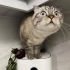 Oyun oynamayı seven fotoğraf