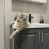Oyun oynamayı seven fotoğraf