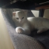 Ömür boyu bir yuva fotoğraf