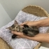 •Minicik İkiz Kız Kardeşler Yuva Arıyor• fotoğraf