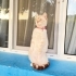 Zeynamız için yuva arıyoruz fotoğraf