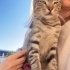 Sokakta yaşamaya çalışıyor, lütfen ona yuva bulalım fotoğraf