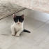 Bebek smokin iki aylık aşıları mevcut fotoğraf