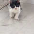 Bebek smokin iki aylık aşıları mevcut fotoğraf